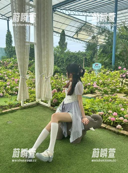 收藏“heiliao.su”，让每一刻都变成“哈哈哈”的瞬间！