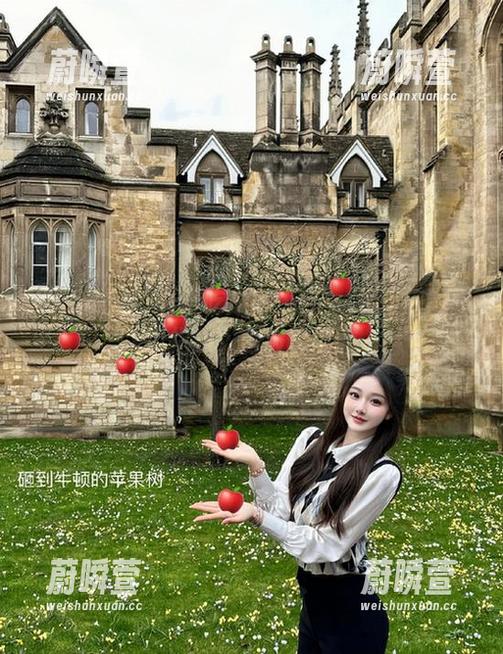 吾爱吃瓜52网站：更新你的吃瓜指数，这波真够酸