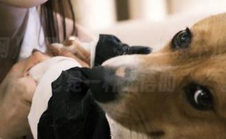 First Image